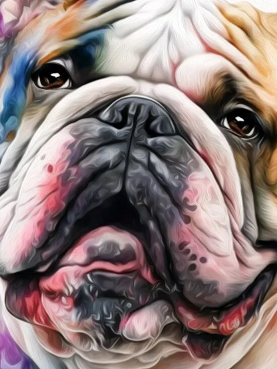 8x10 English Bulldog Watercolor Oil Painting Art Print - Picture 3 of 5